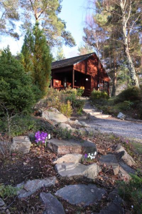 Отель Tullochwood Lodges  Форрес